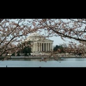 Meet your Posher, Tonya